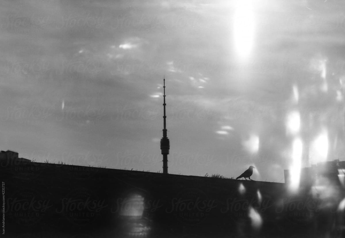 City Silhouette Vintage Old Glare Photography