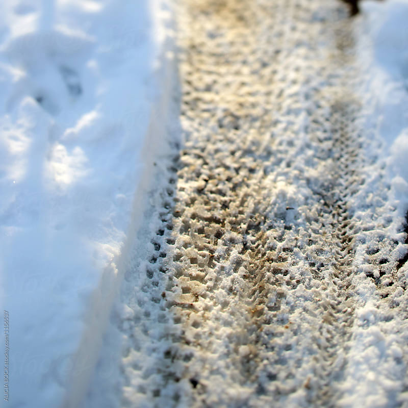 Fat Tire Mountain Bike Tracks On A Snowy Mountain Bike Trail