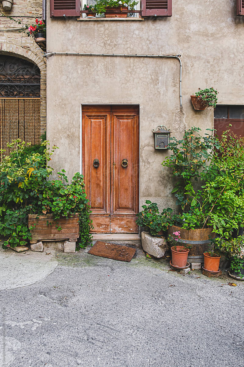 Door and plants in old village