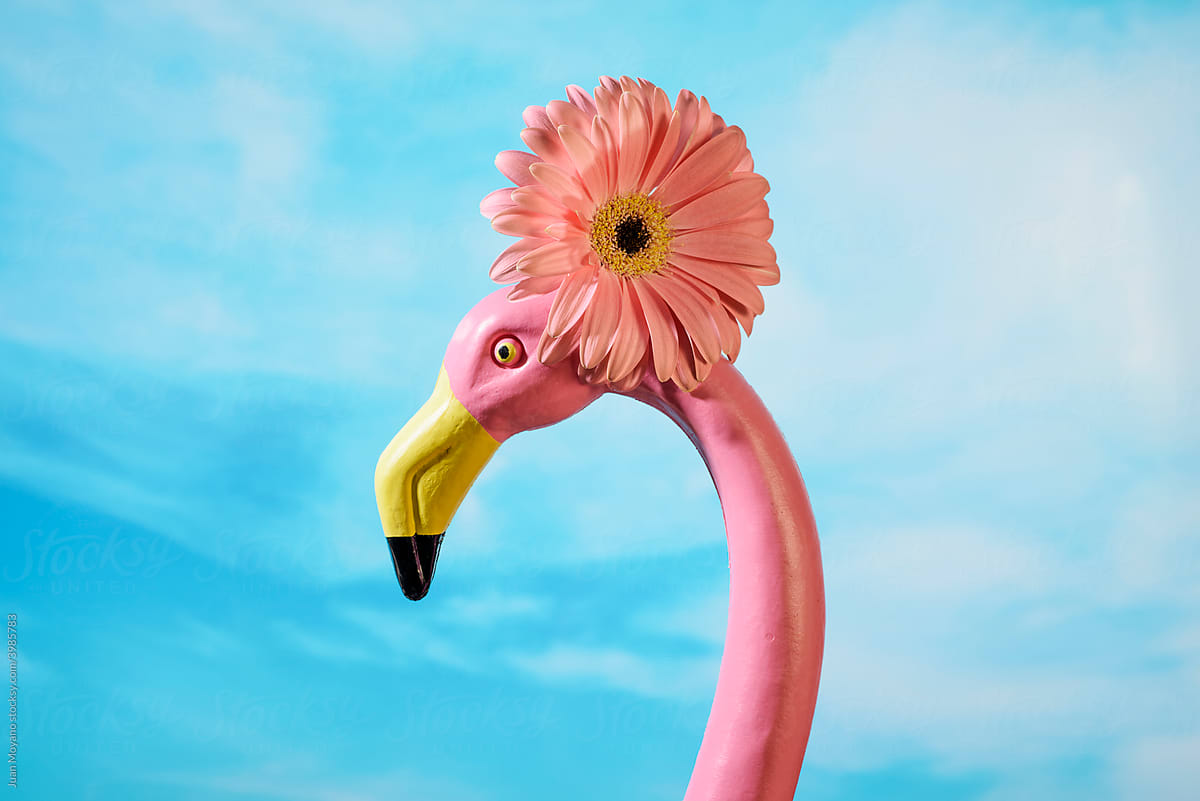 fake pink flamingo in front of the sky