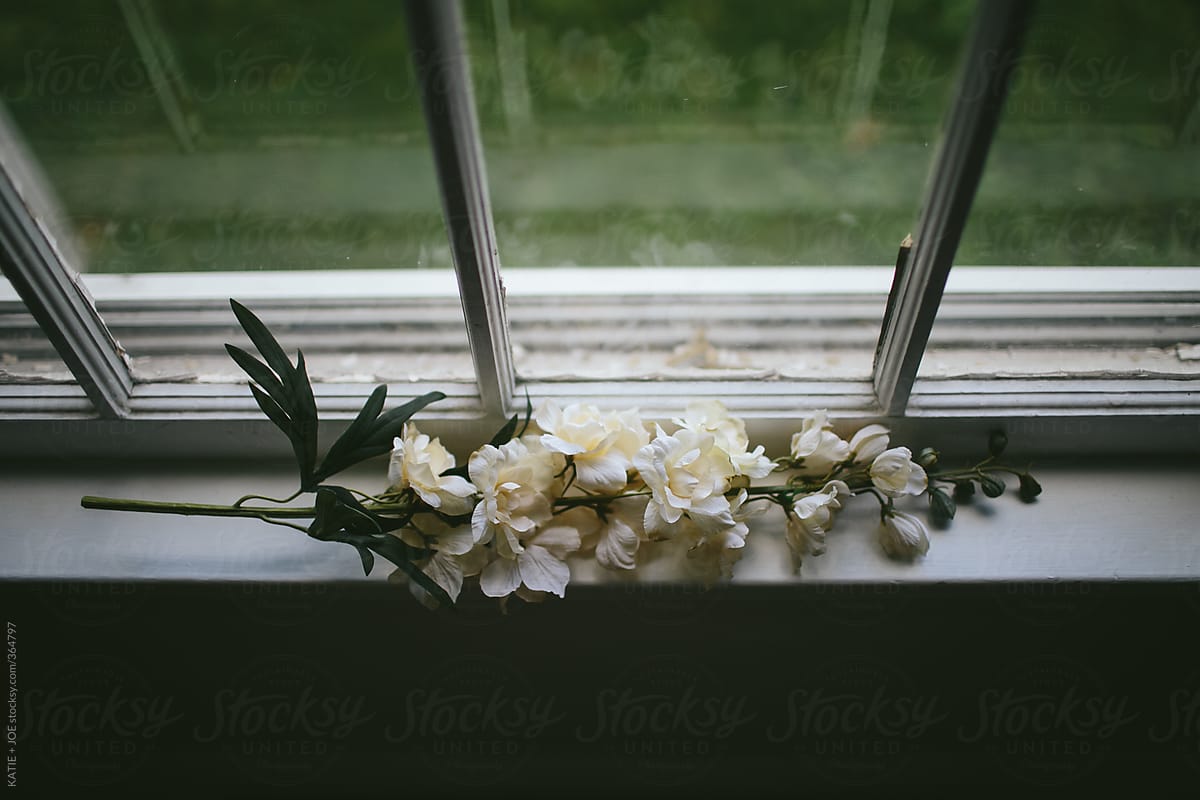 Flowers laying on a windowsill