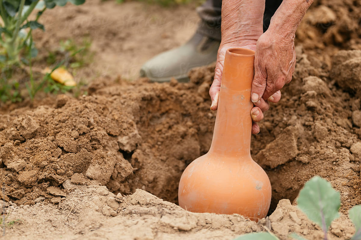 Installing an olla clay pot
