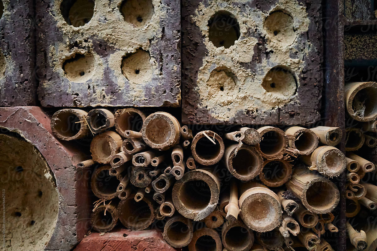 Hand made insect hotel for the garden