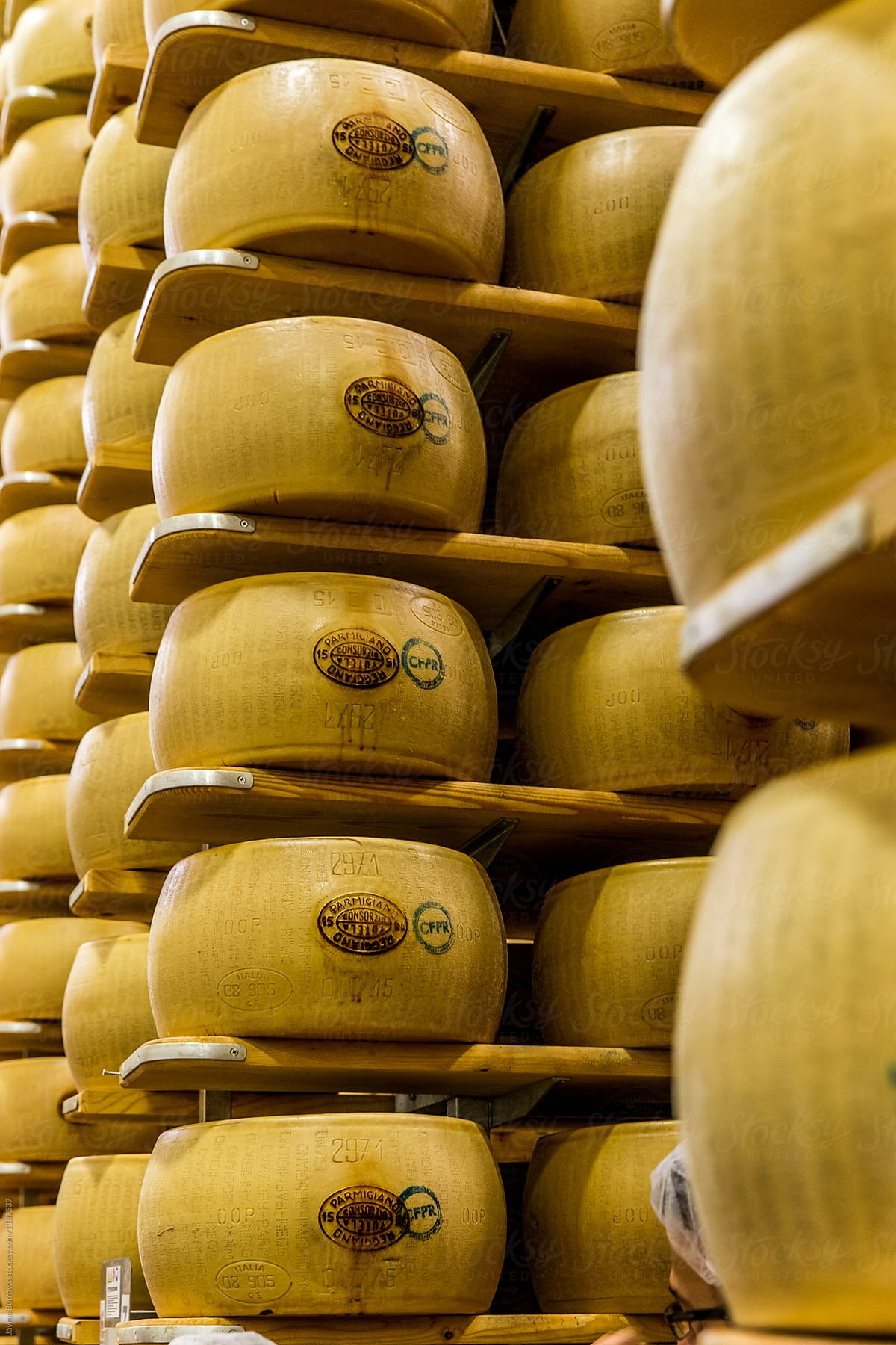 Many Wheels of Whole Parmesan Reggiano Cheese Stacked on Shelves