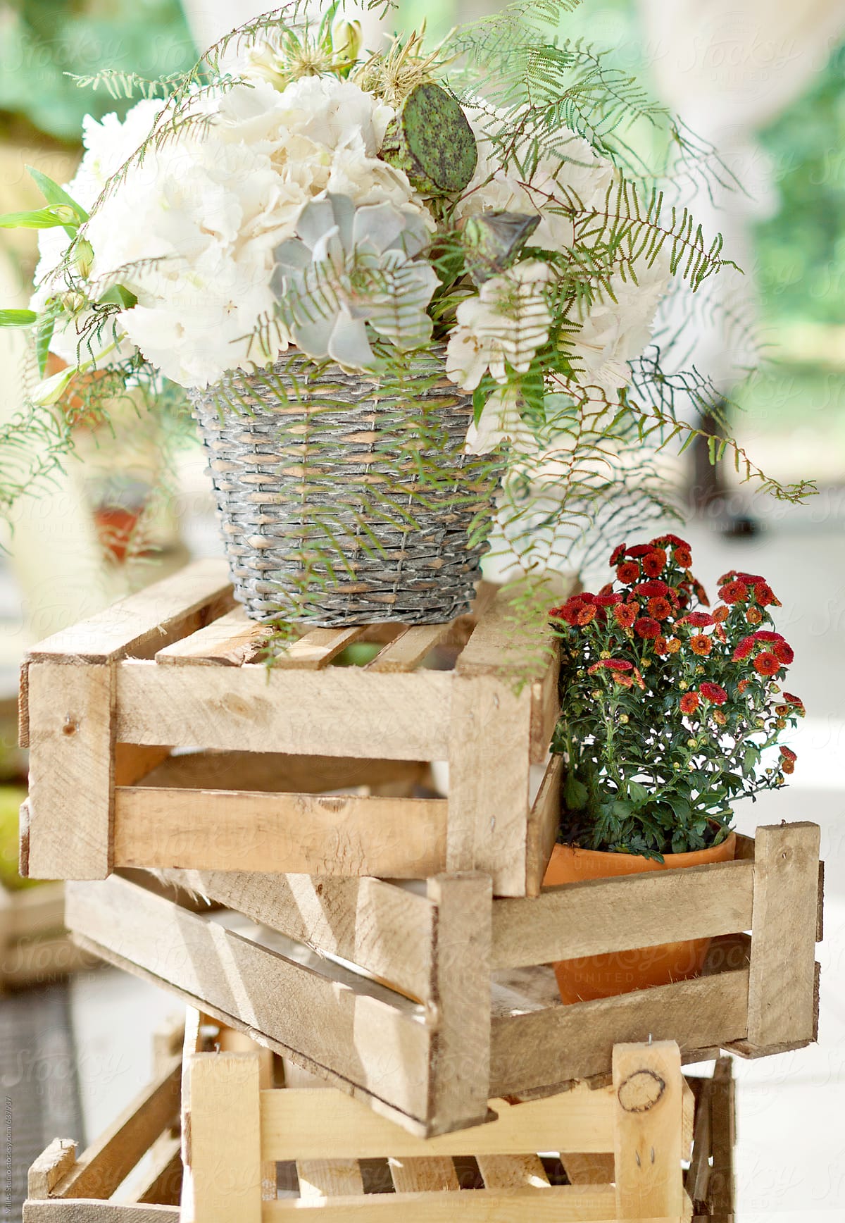 Flowers on wooden Crate