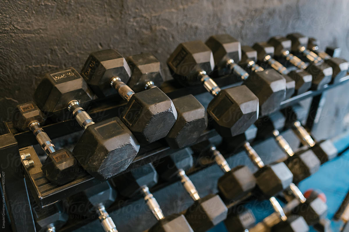 Rack with various dumbbells in gym