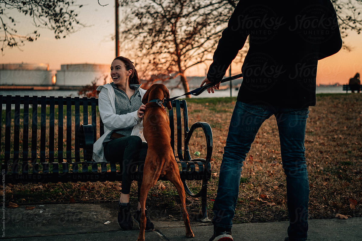 A man and woman play with a dog in the park