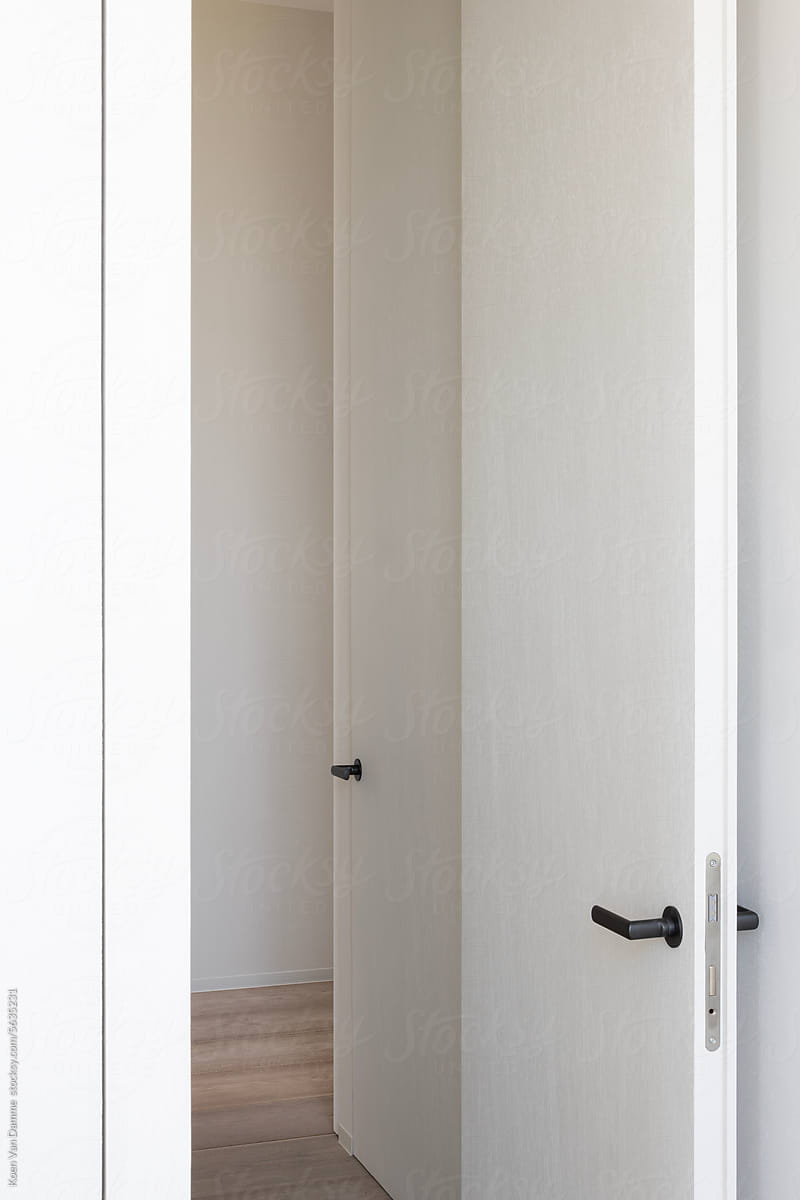 minimalist doors