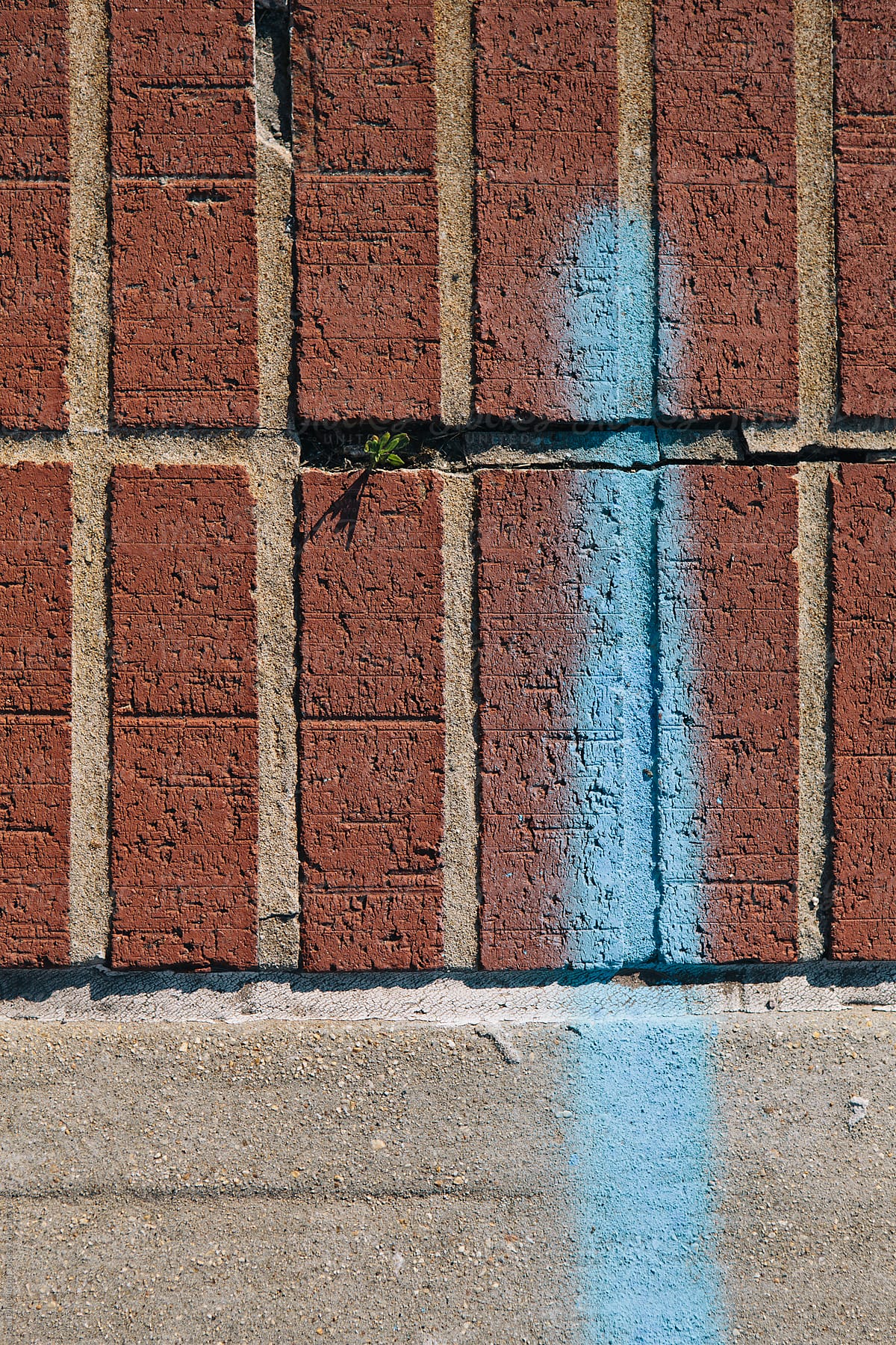 Detail of blue spray paint on brick sidewalk
