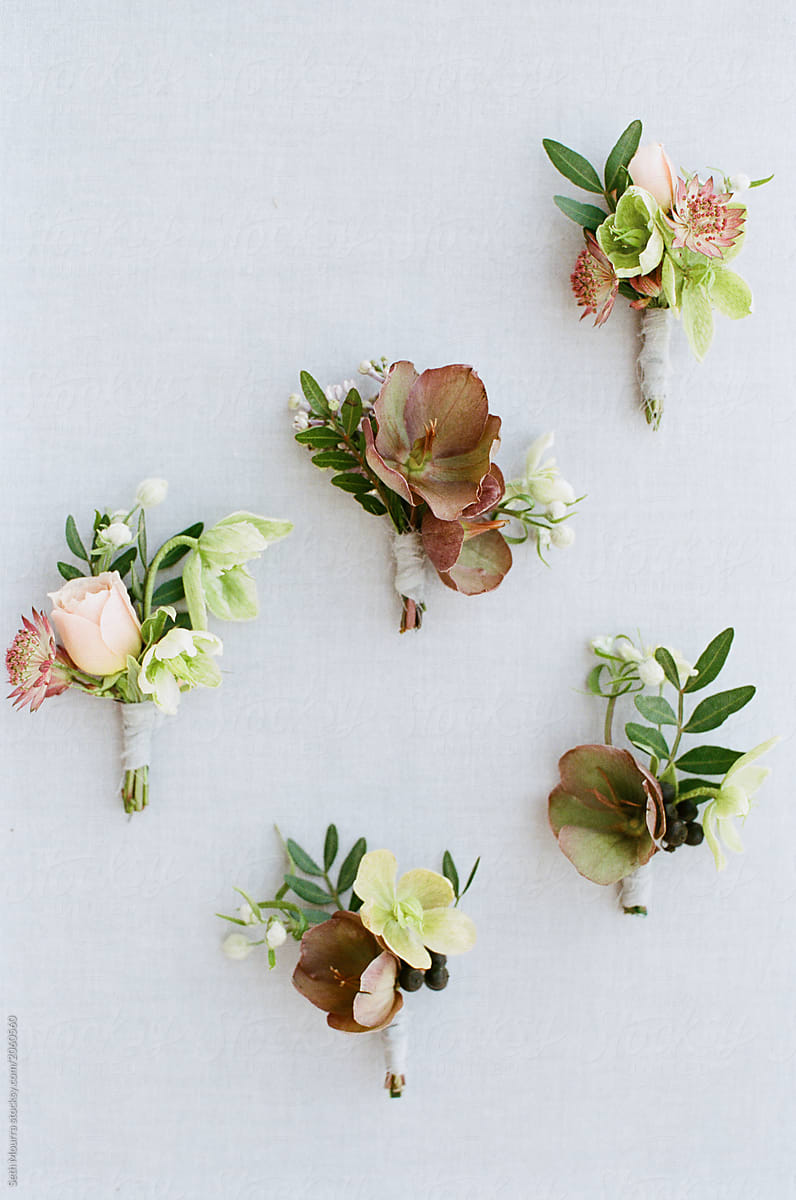 Overgrown Wildflower Bouquet With Grey Silk Ribbon Against A Grey Linen  Backdrop by Stocksy Contributor Seth Mourra - Stocksy