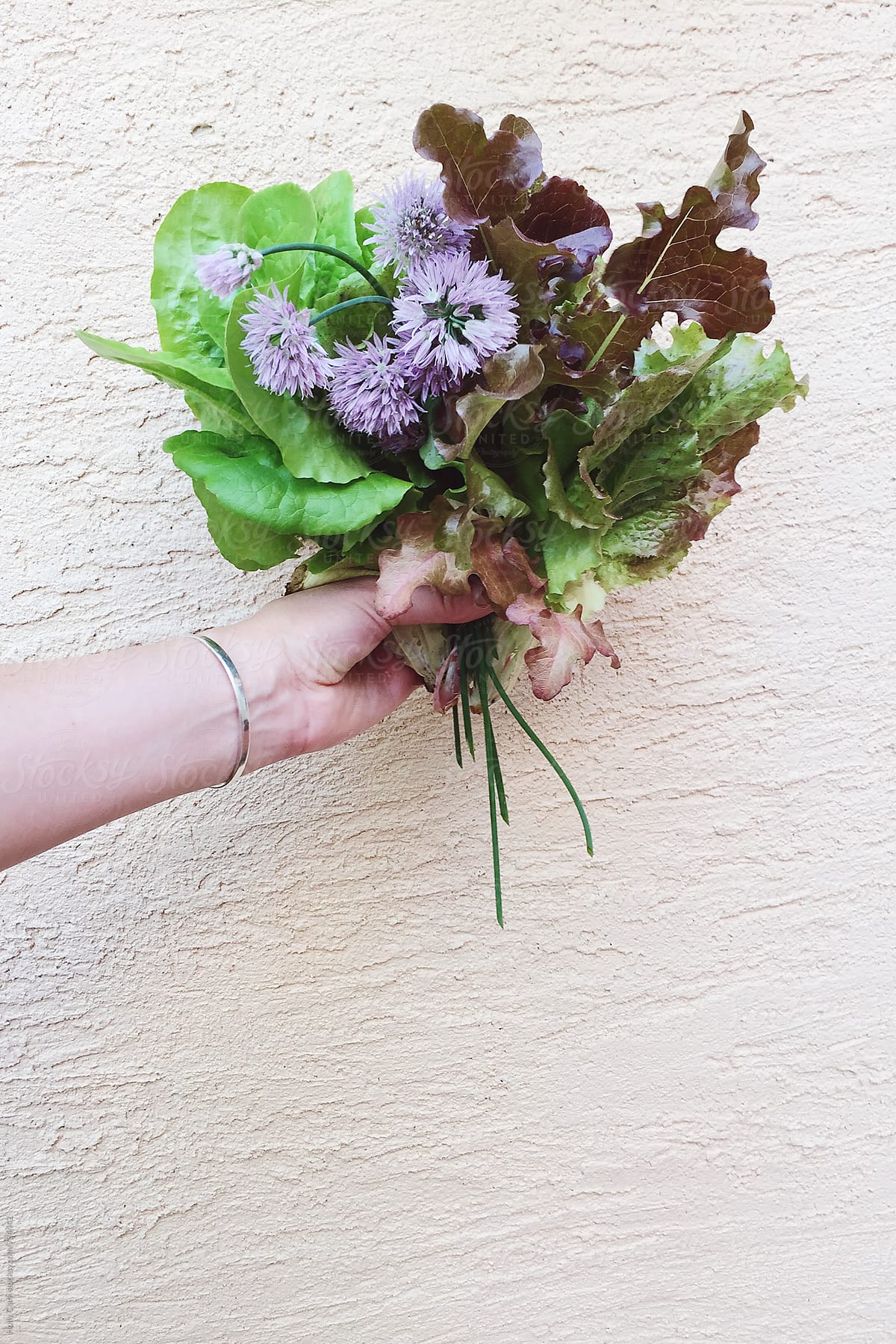 Woman\'s hand holding bouquet of lettuce and herbs