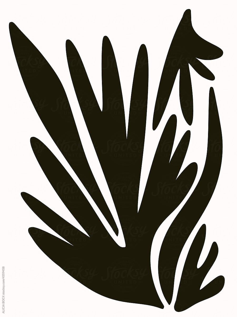 Minimal Botanical Illustration In Black