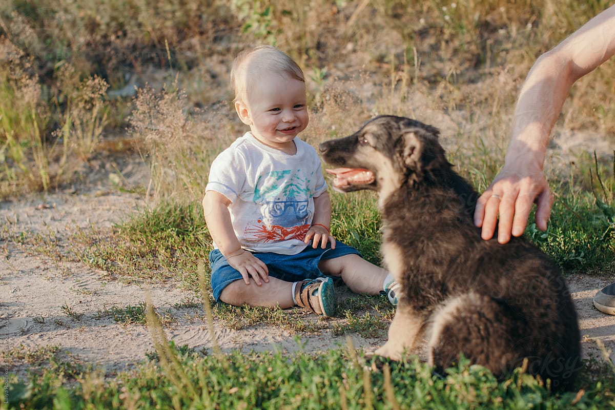 Cheerful blond baby-boy looking at dog