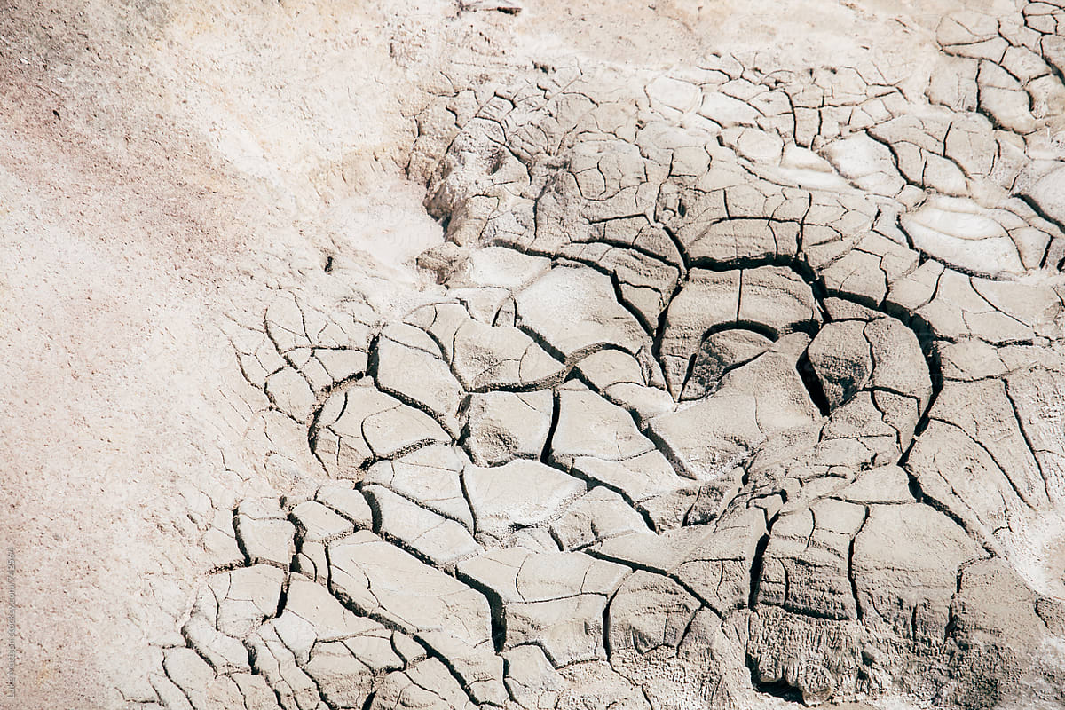 Cracks In The Mud In Yellowstone National Park