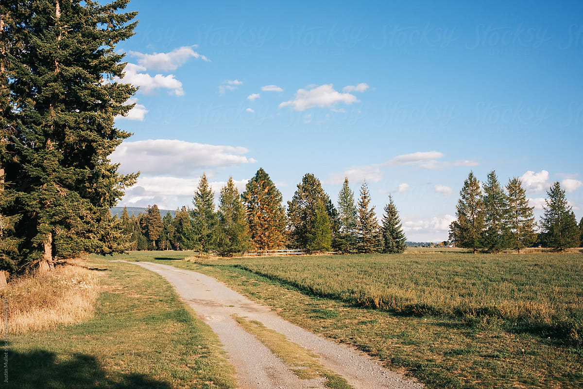 Late summer landscape in Idaho