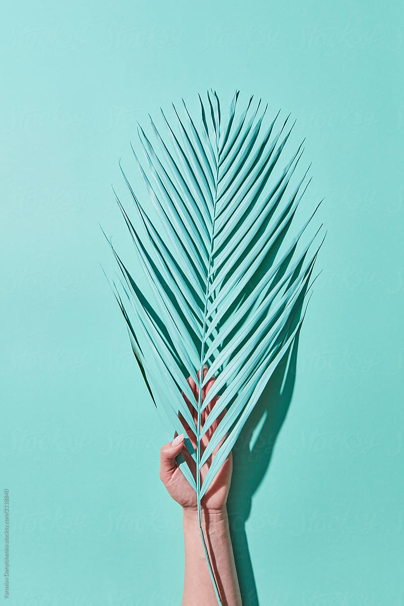 A woman\'s hand holds a blue palm leaf on a blue paper background