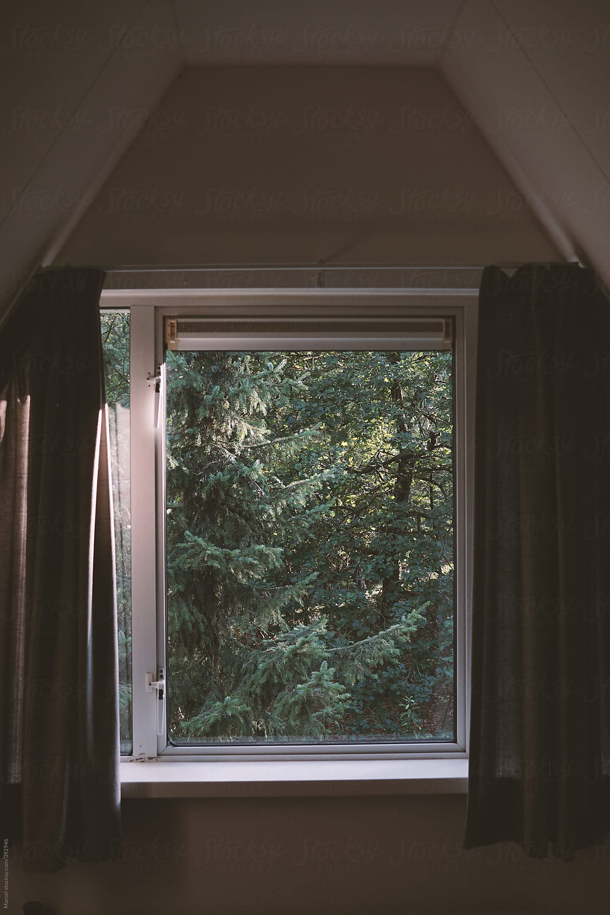 Looking out of the window in a house in the forest