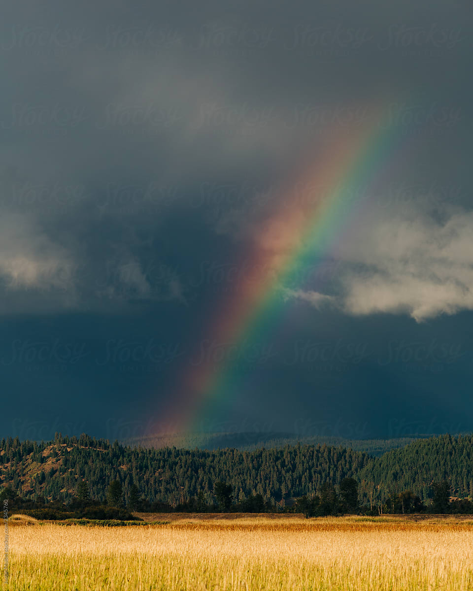 Rainbow and Storm