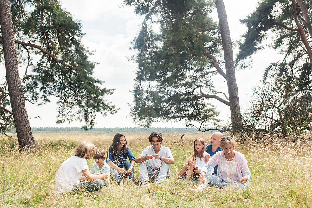 A family relaxing in a field under the trees in the summer