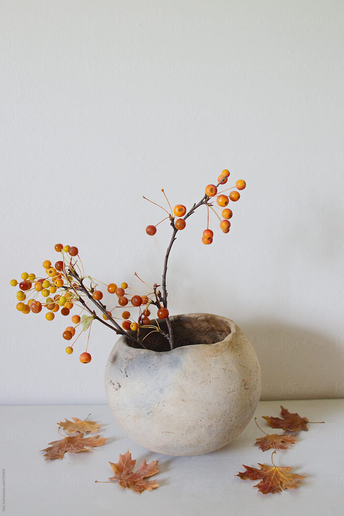 branches with berries in clay pot with dry leaves on white shelf