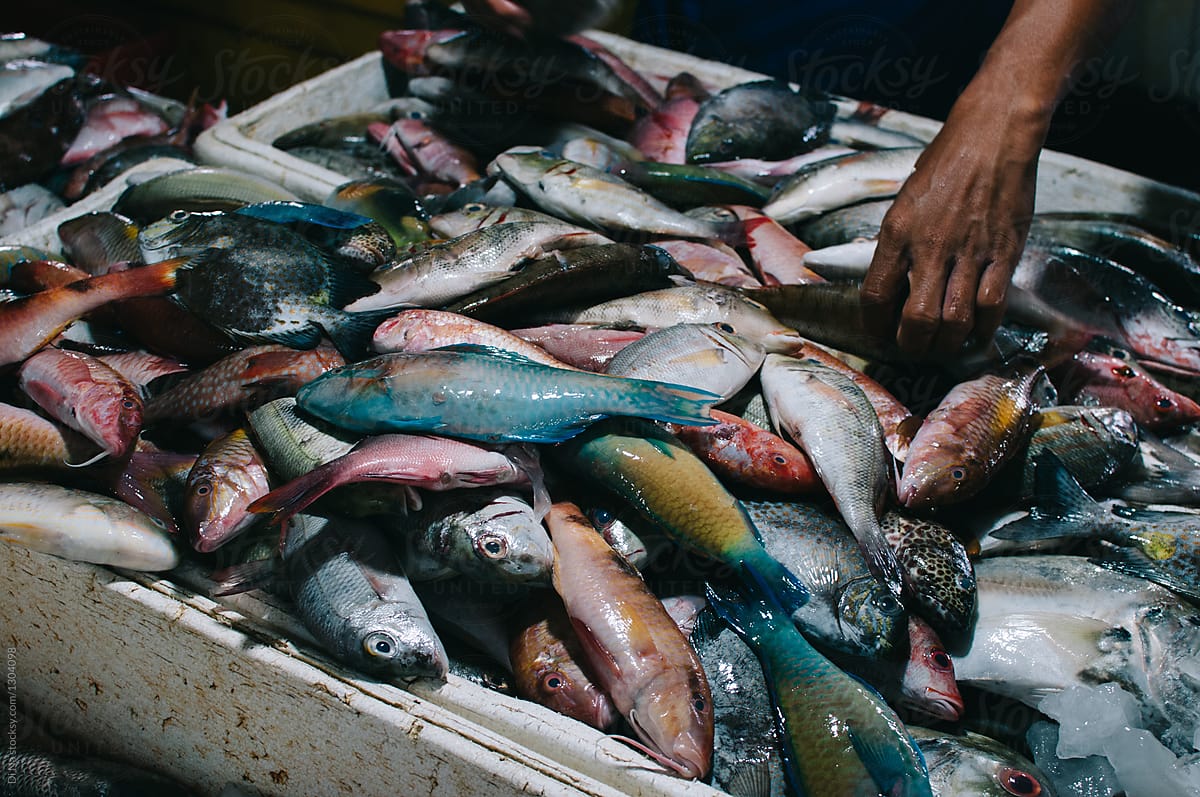 Colorful fish at the local fish market