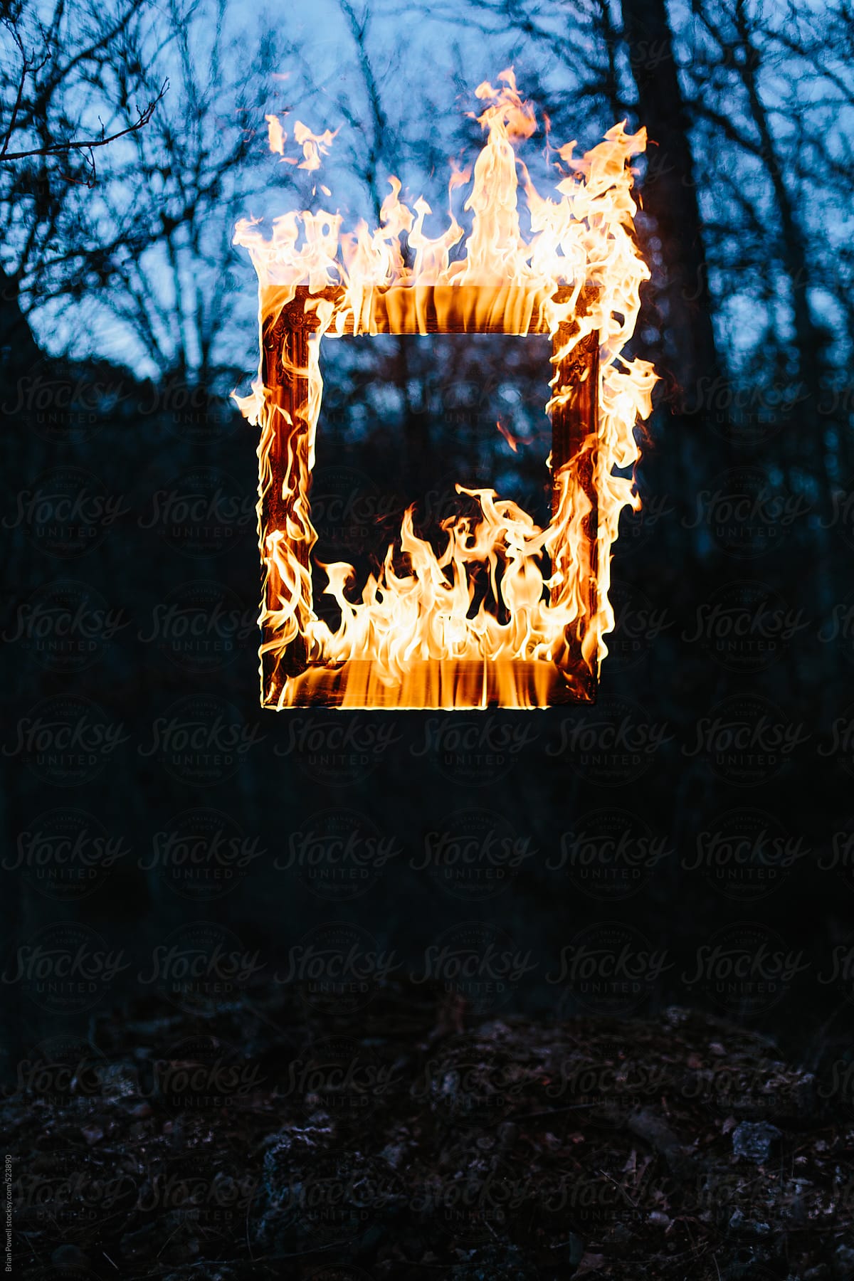 frame of flames in a dark forest