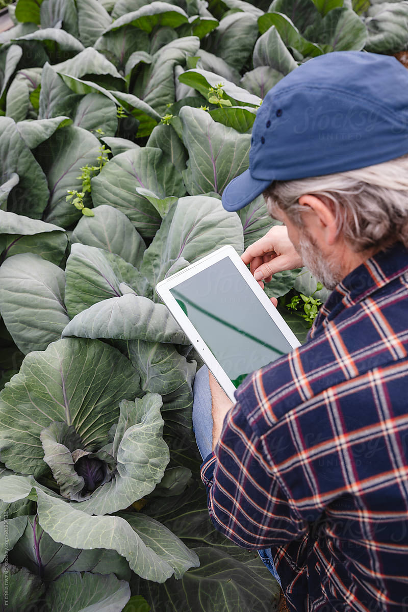 Farmer watching a digital tablet at work