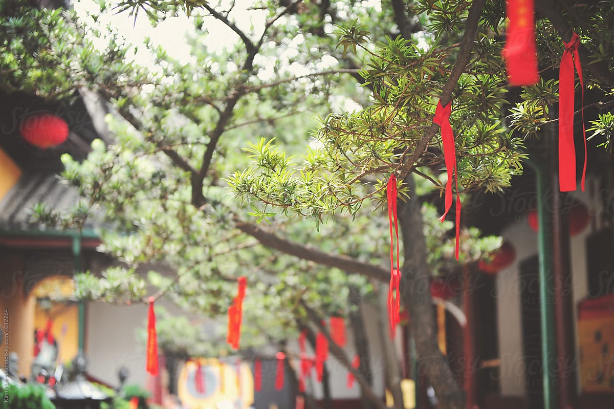 Blessings and Prayers hanging from trees at a Temple in Shanghai