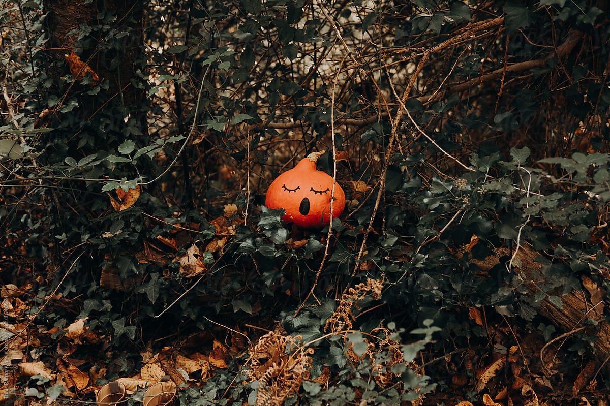 pumpkin with a surprised face painted in the forest