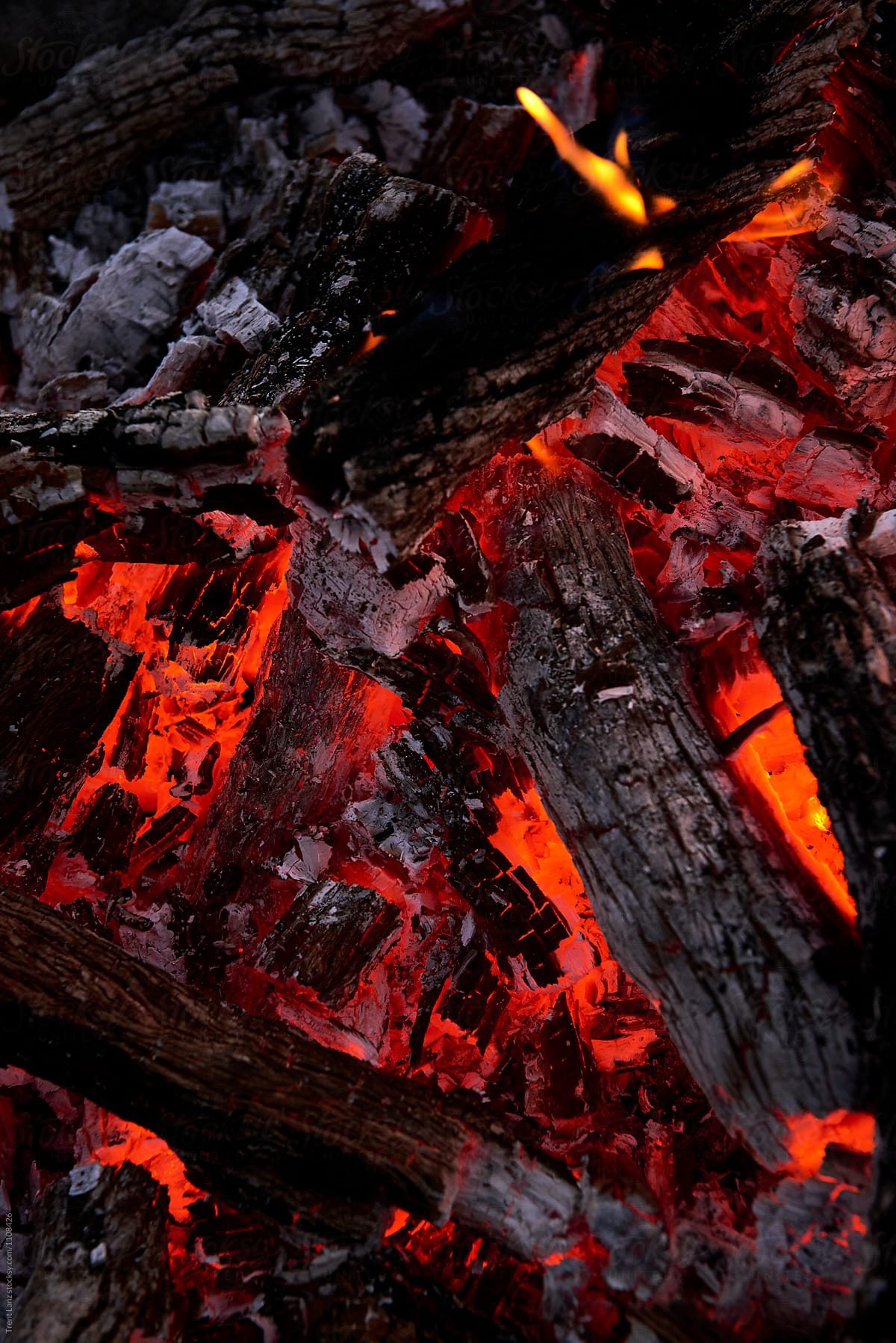 Close up detail of wood on fire