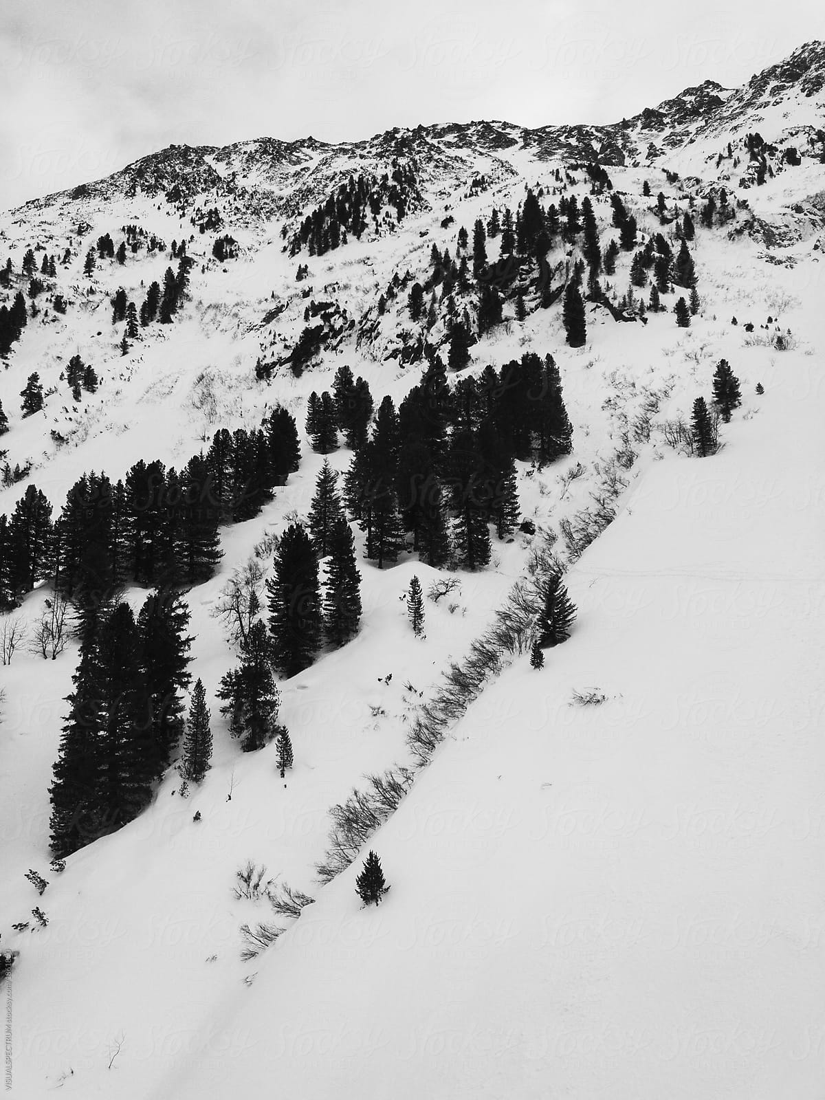 Black and White Shot of Alpine Winter Landscape