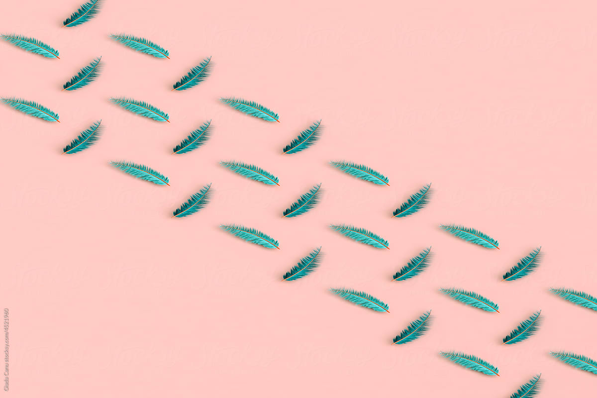 rows of pink feathers on pink background with copy space