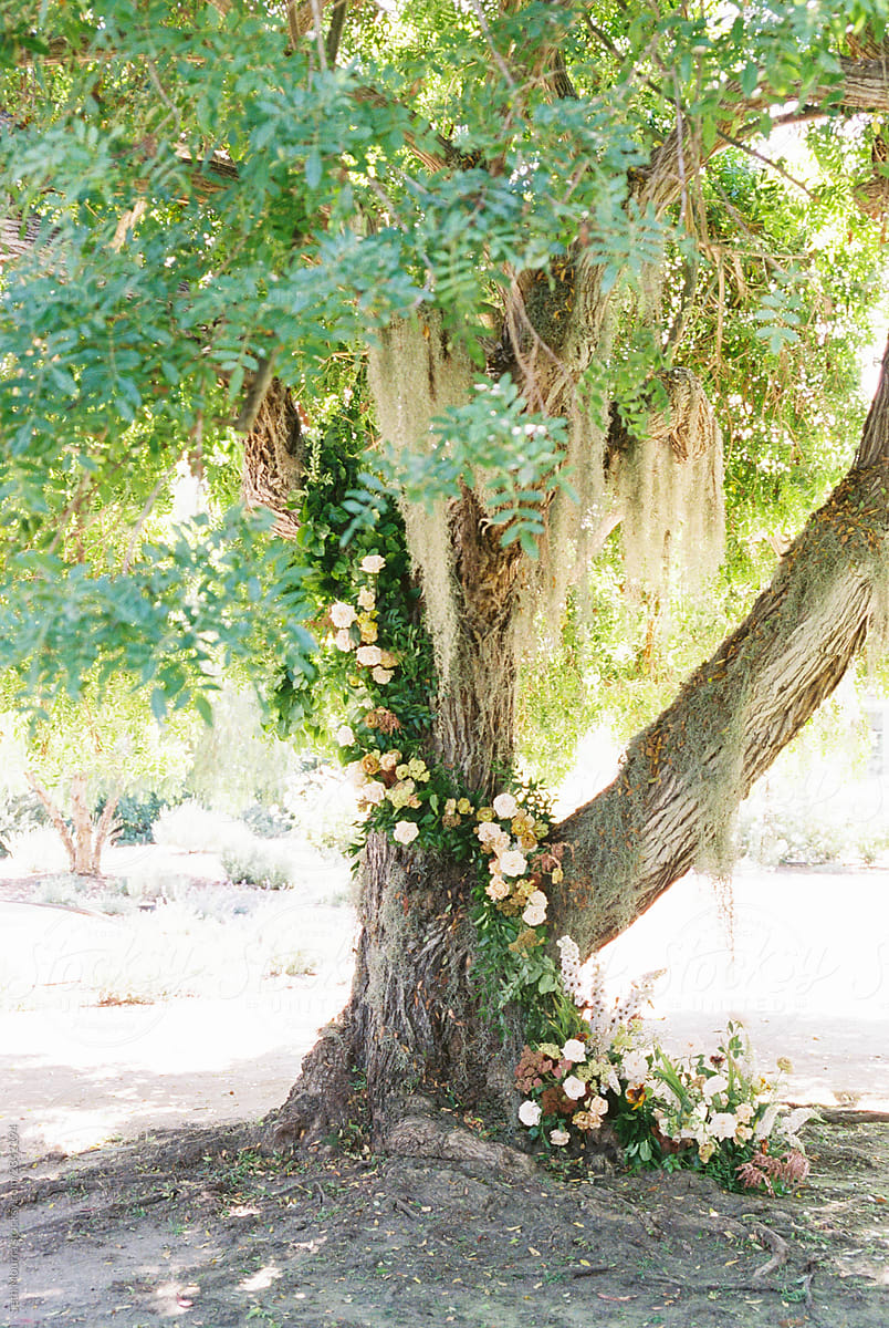 Whimsical Wedding Oak Tree