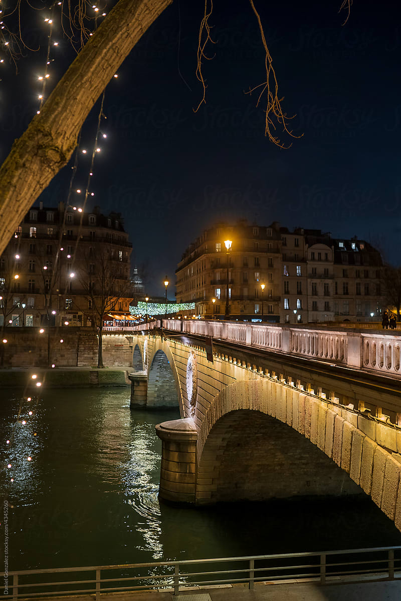 Arched bridge in night city