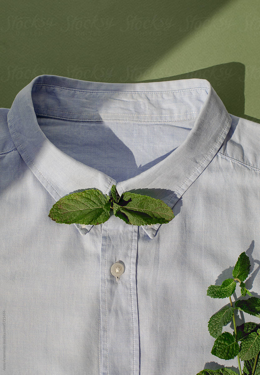 shirt decorated with mint leaves