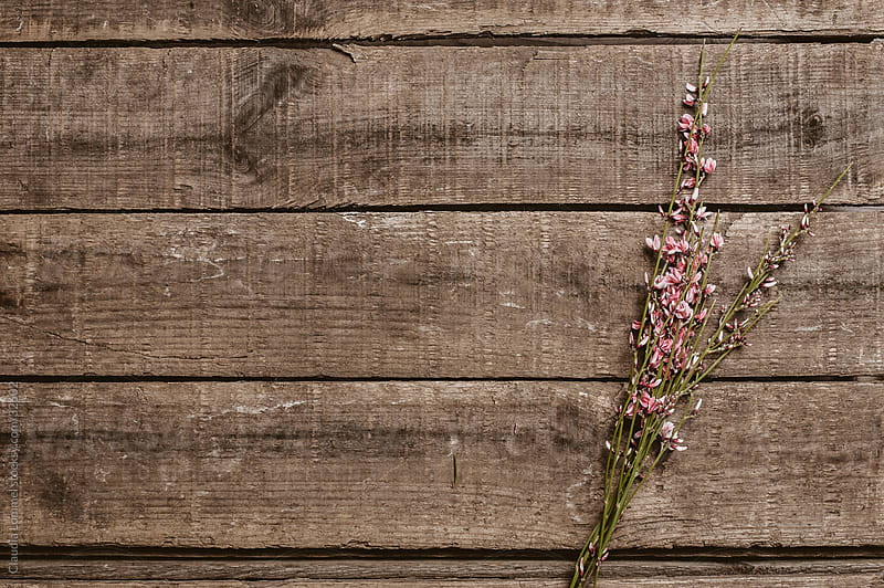 qt layout background image Flowers of a on Bunch Wooden by Texture Small A Pink