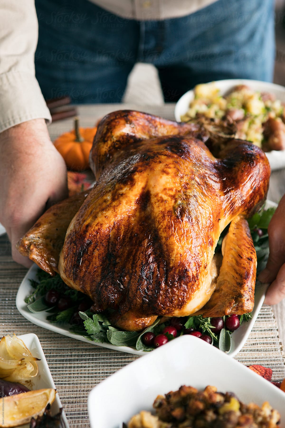 Thanksgiving: Man Placing Turkey On Table