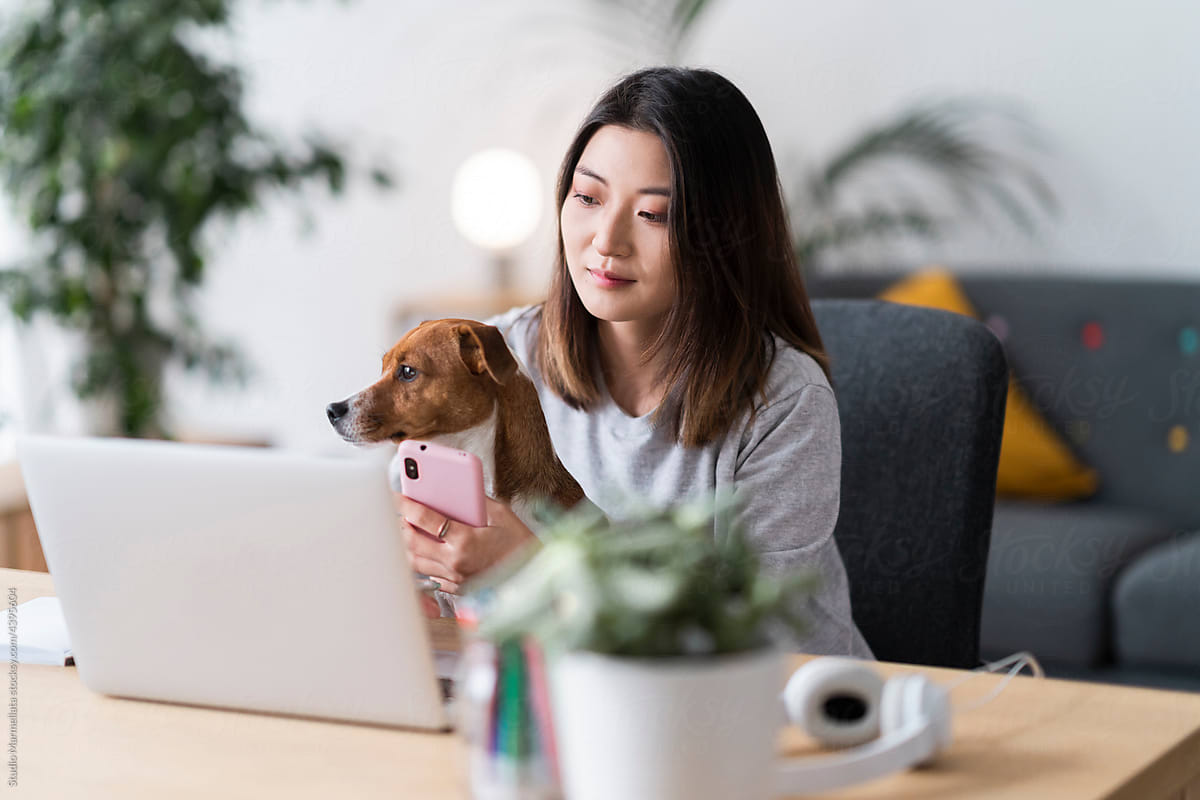 Asian lady with dog using smartphone during remote work