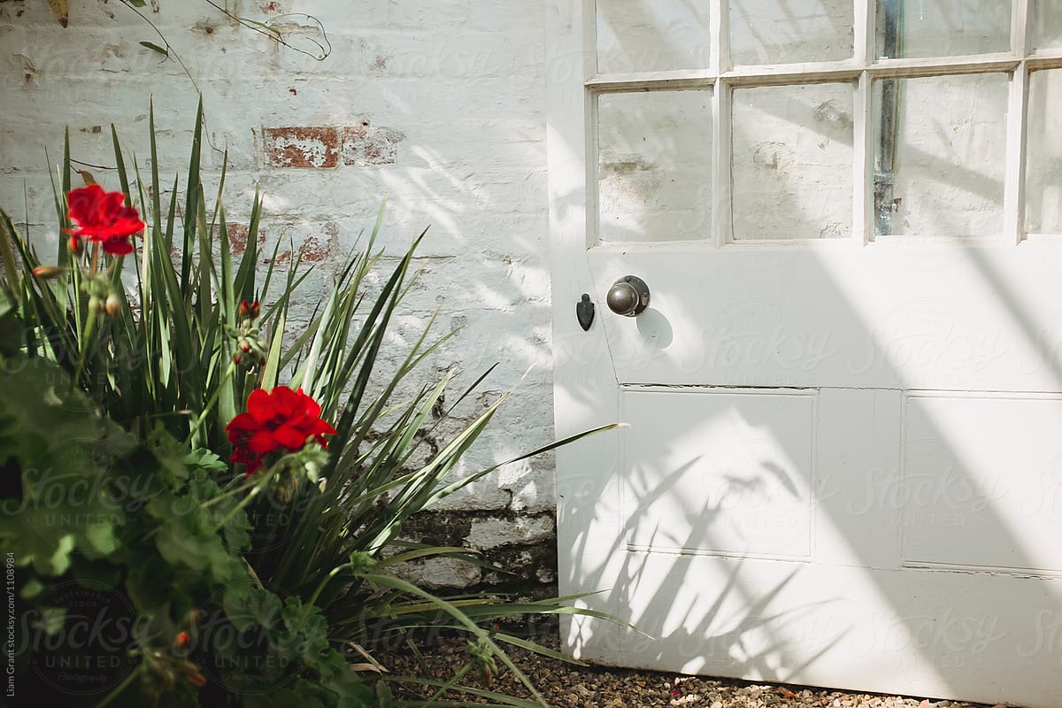 Sunlight and white wooden door in a traditional greenhouse.