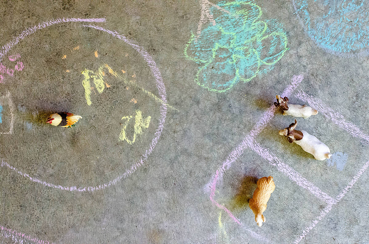 Chalk Drawings with Animals