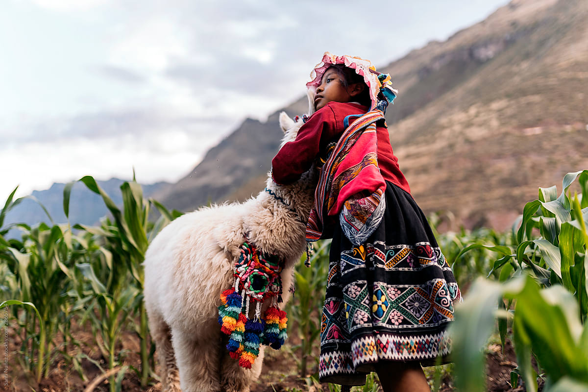 Peruvian indigenous girl hugging an alpaca