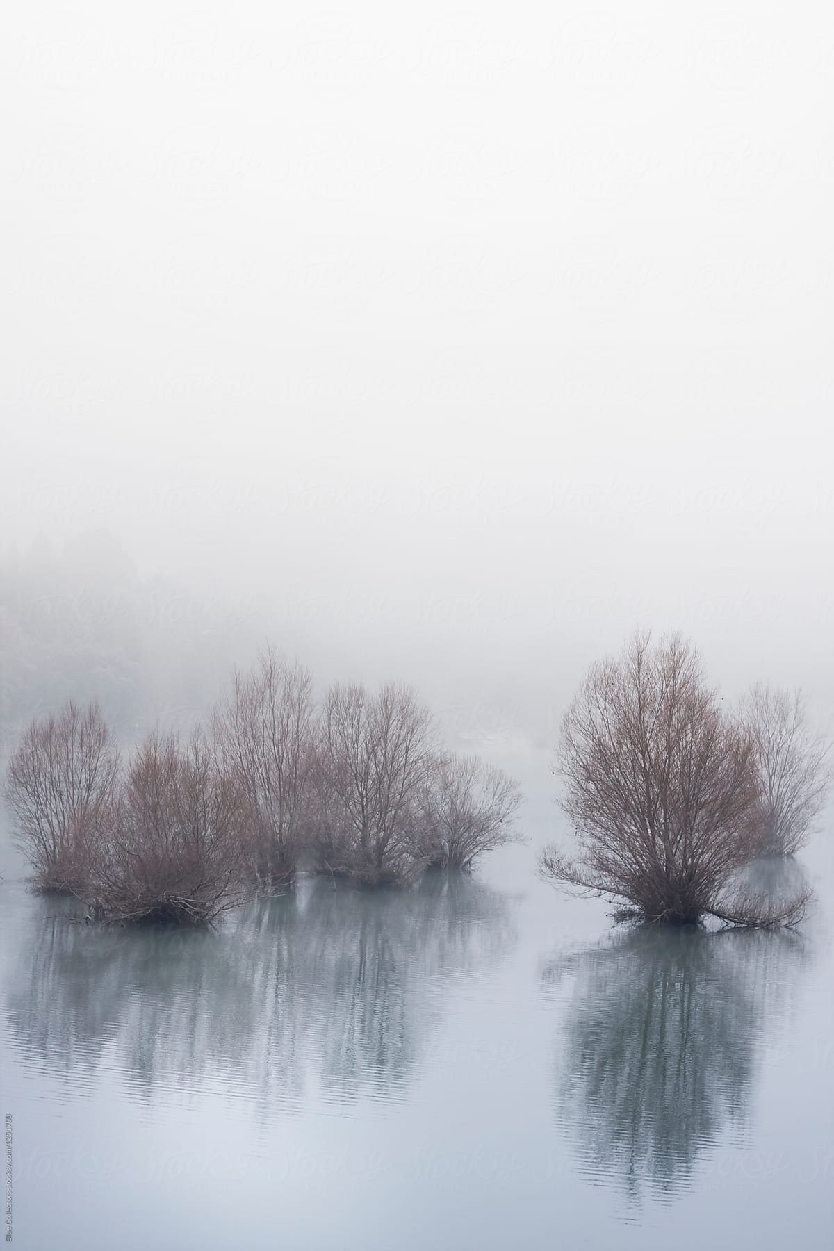 Lake landscape In The Morning Mist
