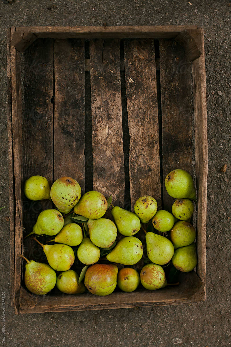 harvested pears in a half-filled wooden crate