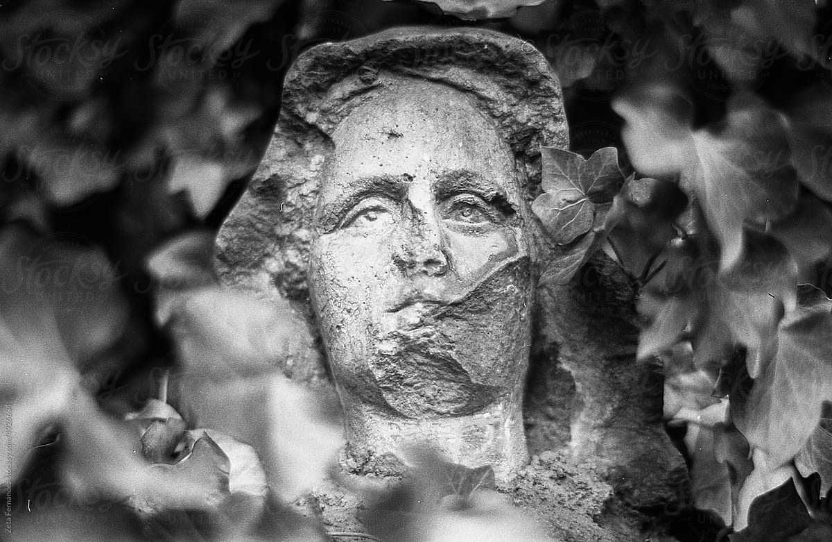 old sculpture broken among the vines of a wall