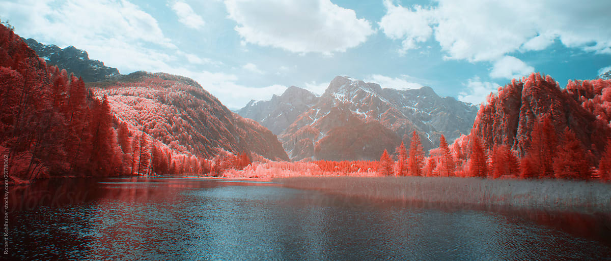  Lake With Forest Shot In Infrared Del Colaborador De Stocksy Robert 