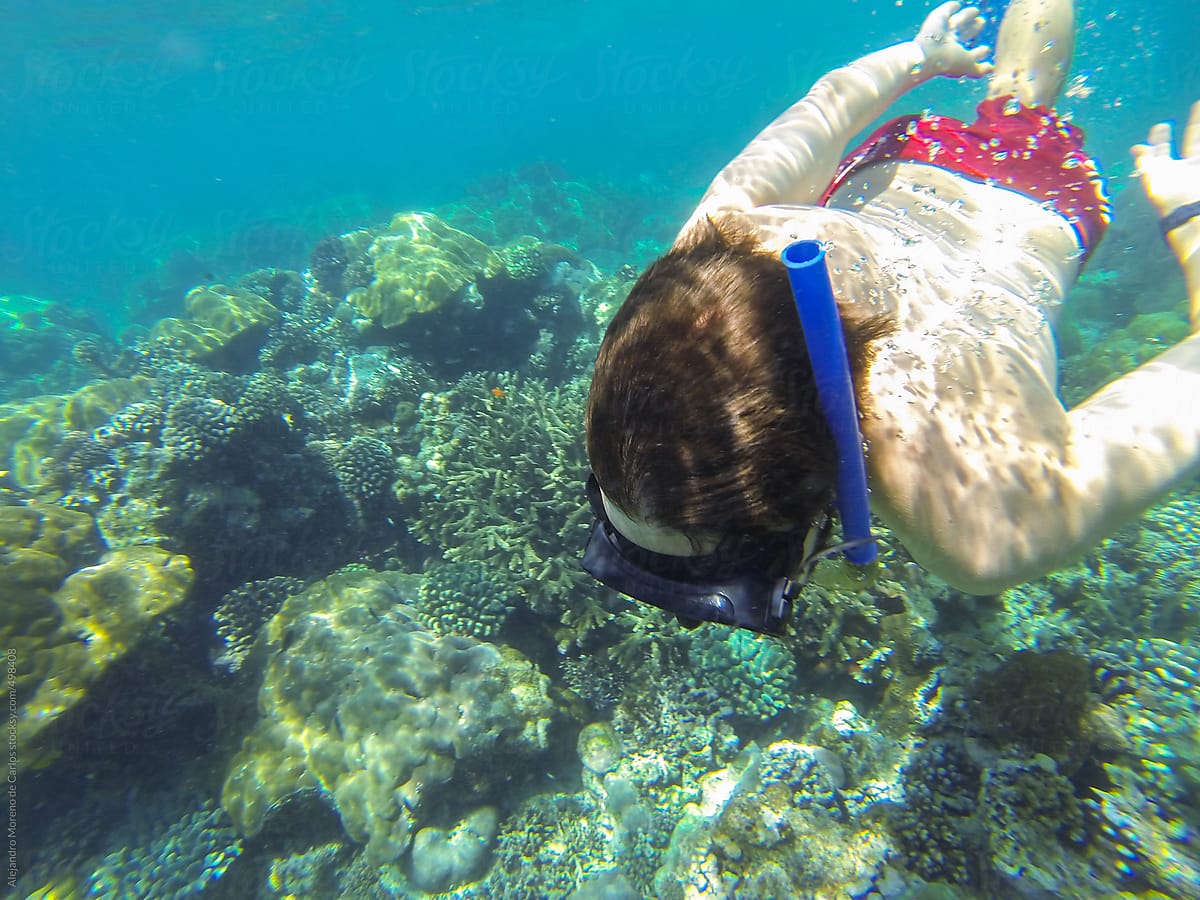 Overhead view of young man diving and snorkeling on tropical coral reef on the sea with diving mask and tube underwater