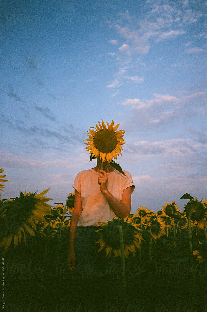 Person covering face with sunflower, film ugc