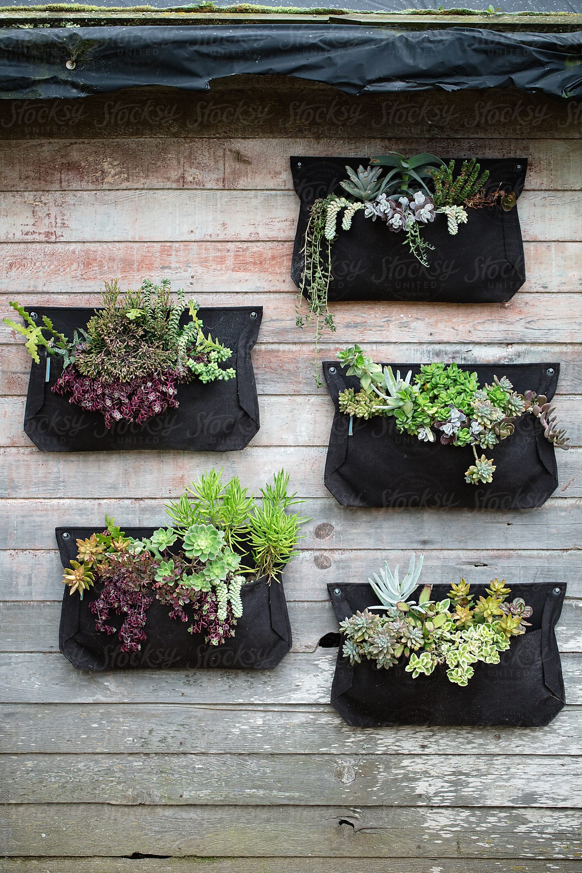 Wall Mounted Garden Shed
