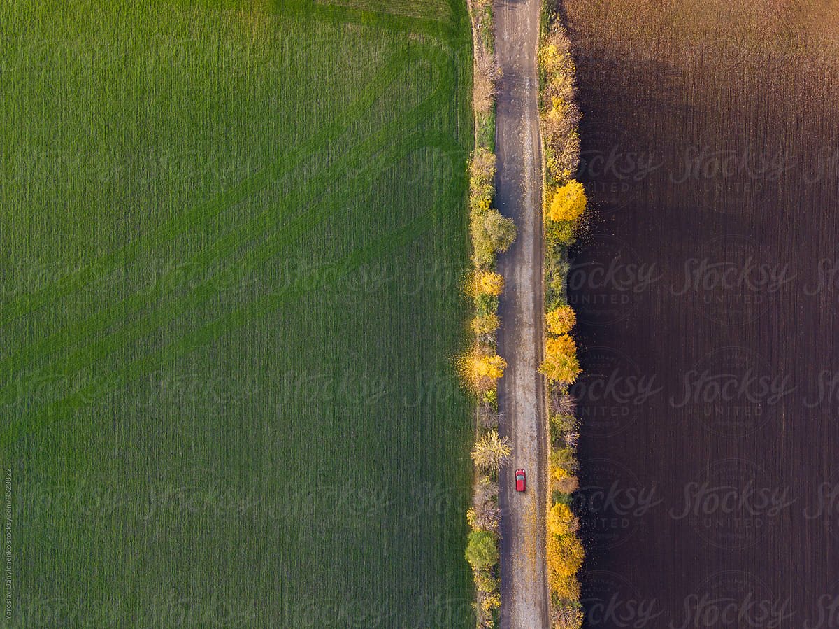 Aerial view of agricultural plantation from drone.