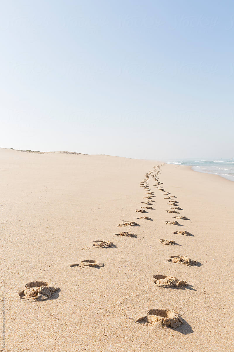 Footprints On The Sand In A Lonely Beach By Luis Cerdeira Beach Footprint Stocksy United